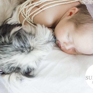 Newborn and dog portrait gold coast Newborn and dog portrait gold coast