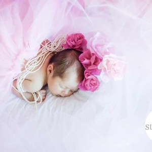 Gold Coast Baby Portrait in pink dress Gold Coast Baby Portrait in pink dress