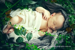 Newborn Portrait Brisbane