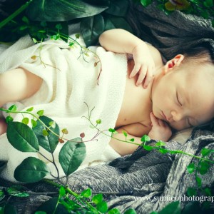 Newborn Portrait Brisbane Newborn Portrait Brisbane