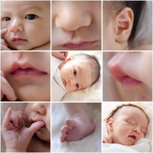 Newborn Baby Portrait Brisbane Newborn Baby Portrait Brisbane