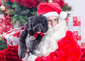Dog with Santa at Santa Paw