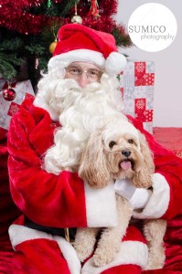 Santa Paws, Pet Portrait by Sumico Photography