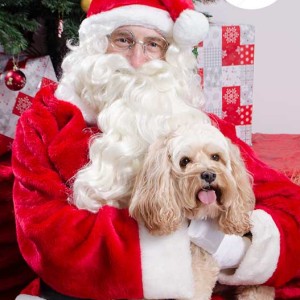 Santa Paws, Pet Portrait by Sumico Photography Santa Paws, Pet Portrait by Sumico Photography