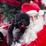 Santa Paws at FurryKids@Play , Photo by Sumico Photography