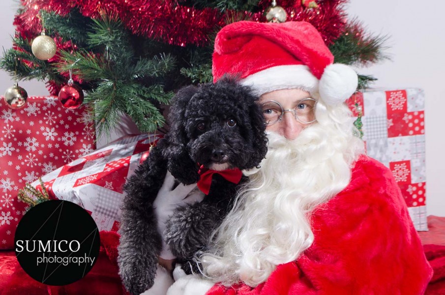 Santa Paws at FurryKids@Play , Photo by Sumico Photography