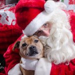 Santa Paws at FurryKids@Play , Photo by Sumico Photography