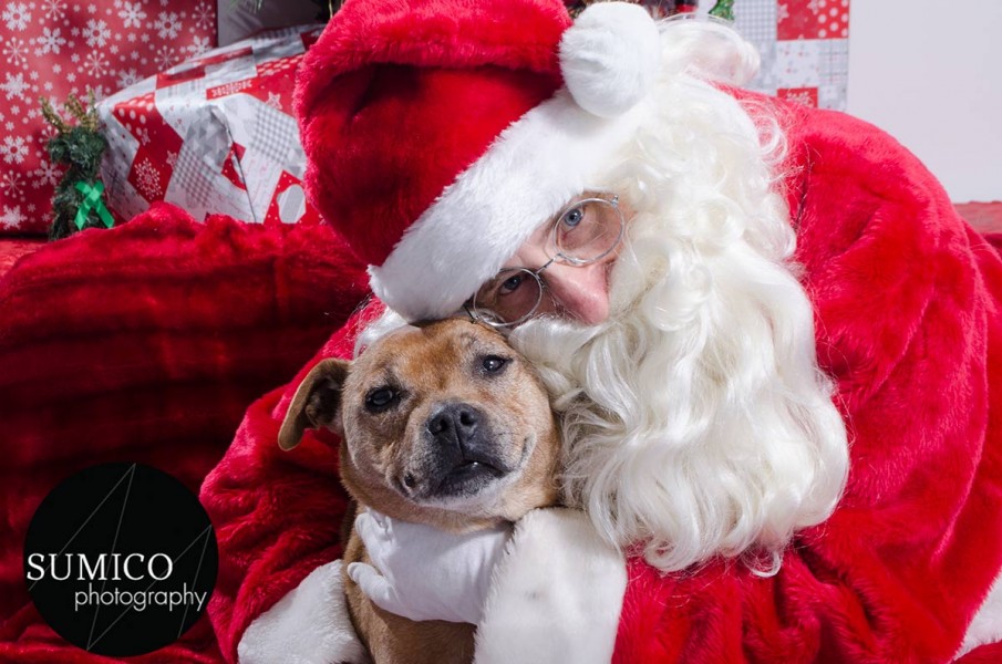Santa Paws at FurryKids@Play , Photo by Sumico Photography