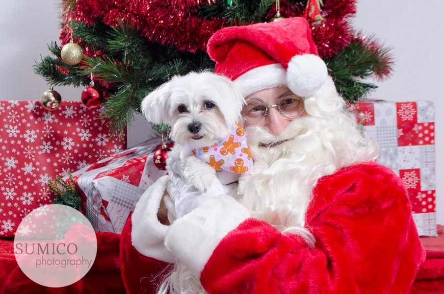 Santa Paws at FurryKids@Play , Photo by Sumico Photography