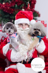 Santa Paws at FurryKids@Play , Photo by Sumico Photography