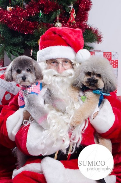 Santa Paws at FurryKids@Play , Photo by Sumico Photography