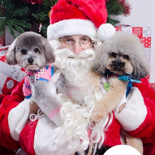 Santa Paws at FurryKids@Play , Photo by Sumico Photography Santa Paws at FurryKids@Play , Photo by Sumico Photography