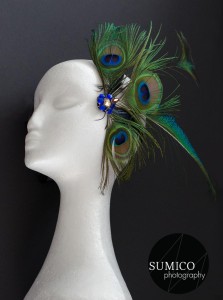 Peacock Headpiece