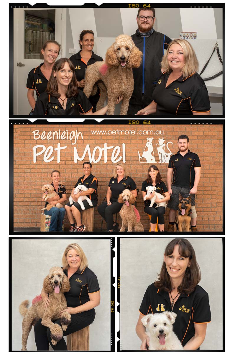 Team Photos with Dogs | Beenleigh Pet Motel by Sumico Photography