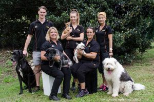 Business Team Photography