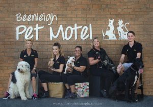 Professional Team Photograph by Brisbane Photographer