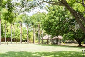 Sumico Photography Garden