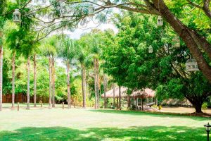 Sumico Photography Garden