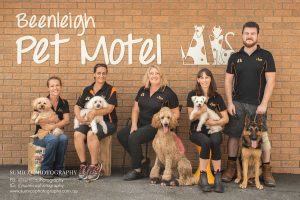 Team Photography Brisbane, Gold Coast