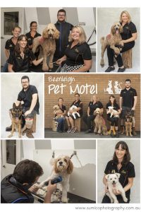 Team photos, photos for your business by Sumico Photography